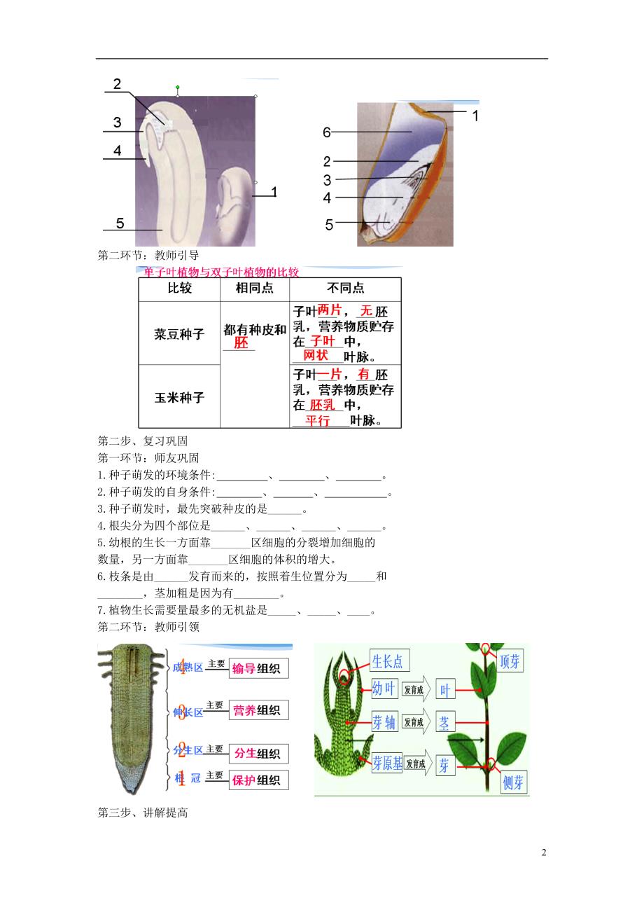 2017-2018学年七年级生物上册 3.2.2-3.2.1 种子的萌发和植株的生长教案 （新版）新人教版_第2页