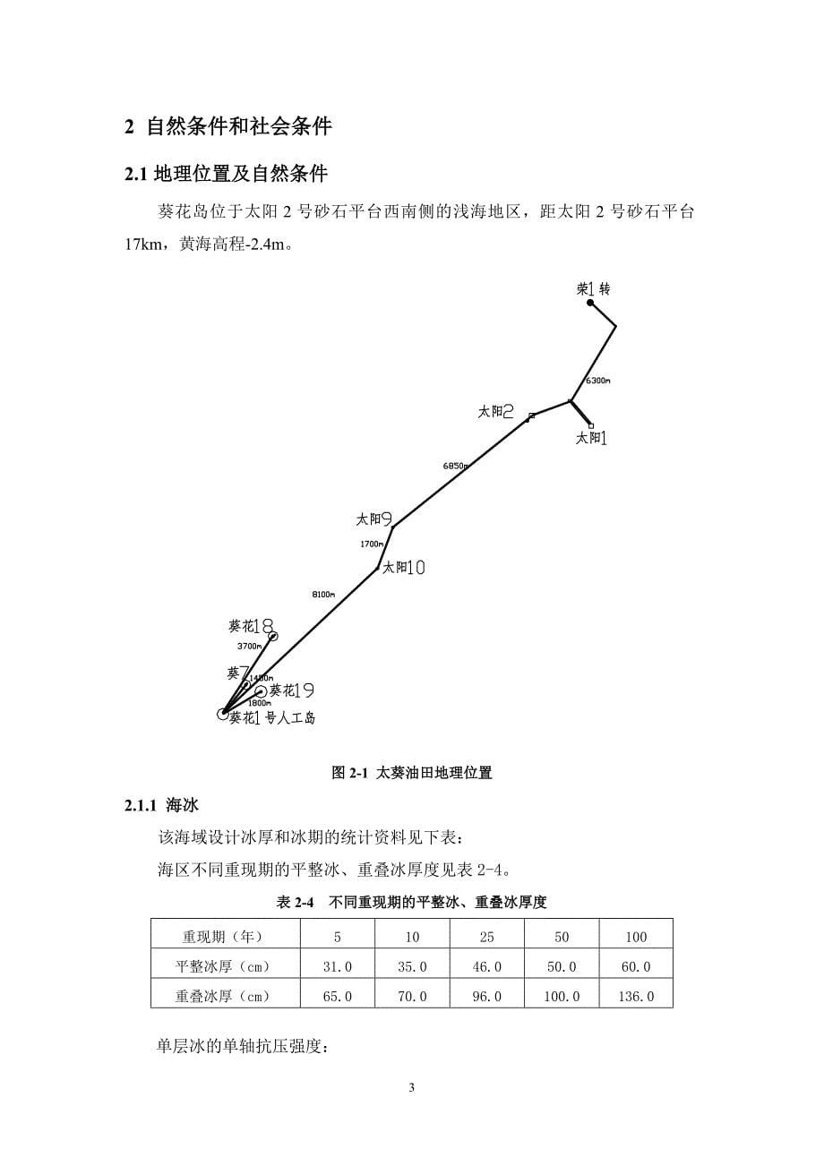 辽河滩海太葵油田(项目总结报告)_第5页