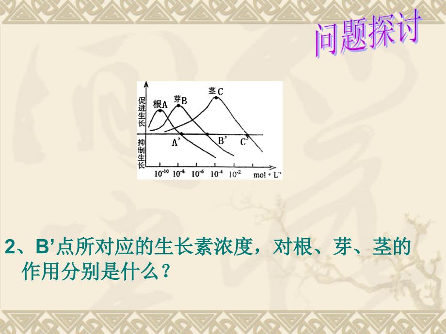 人教版教学课件生物：3.2《生长素的生理作用》课件(新人教版必修3)_第4页