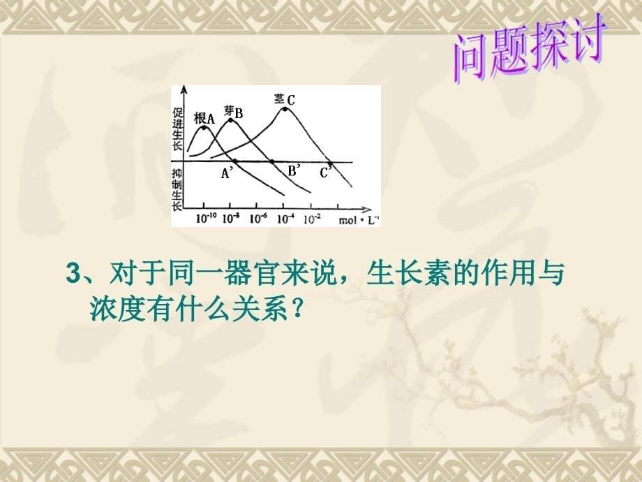 人教版教学课件生物：3.2《生长素的生理作用》课件(新人教版必修3)_第5页