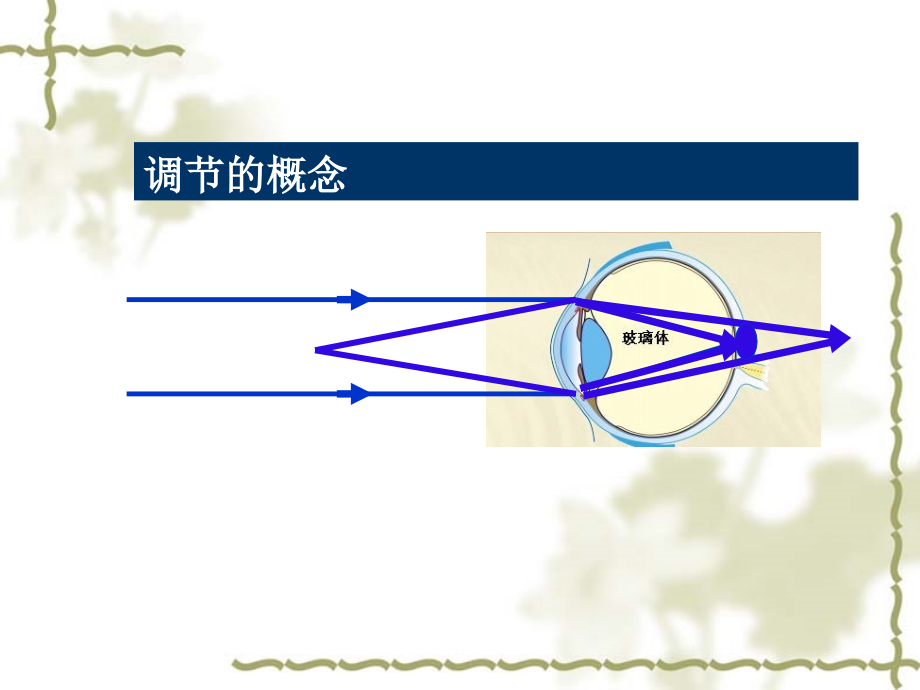 一、调节与集合_第3页