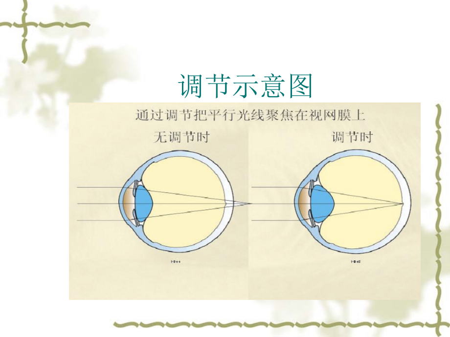 一、调节与集合_第4页