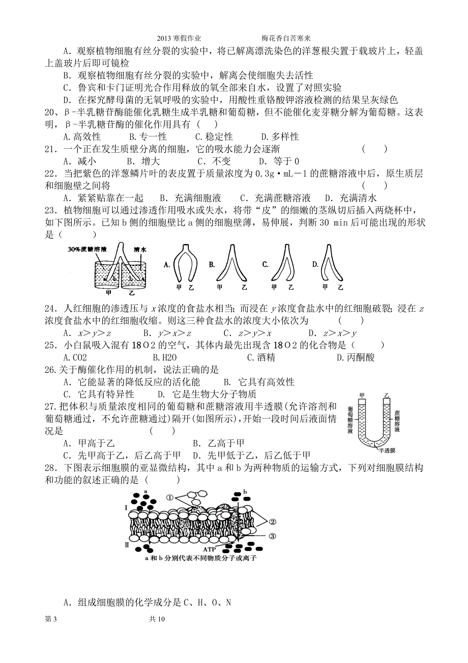 高二寒假,生物_第3页