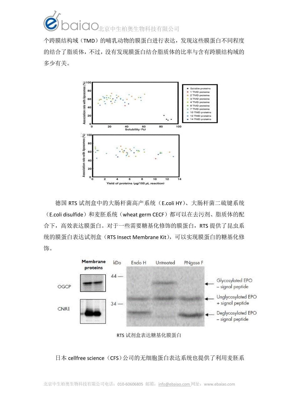 体外无细胞体系为表达可溶性膜蛋白_第5页