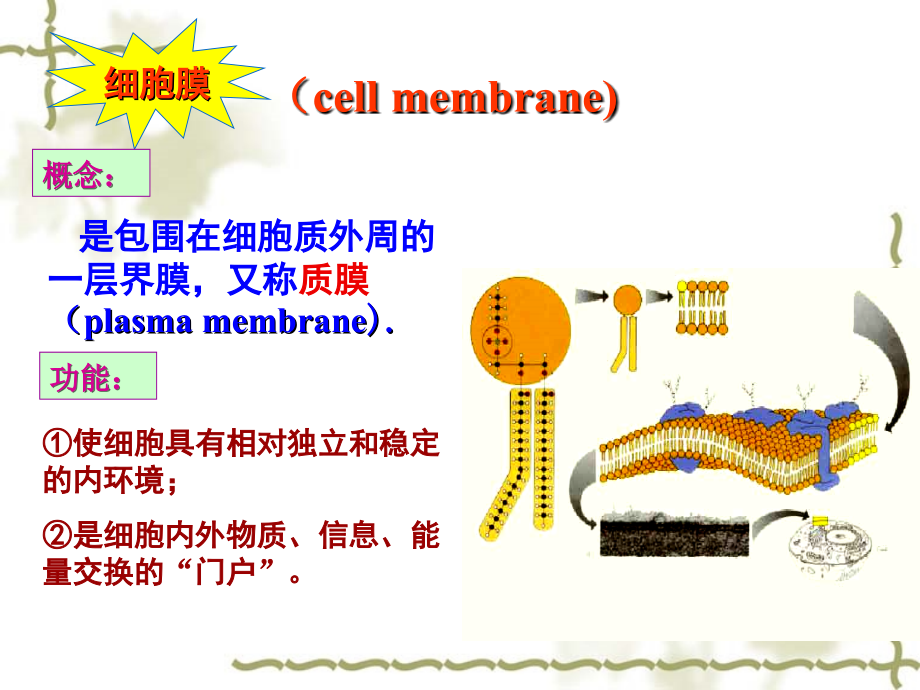 [理学]第五章生物膜_第2页