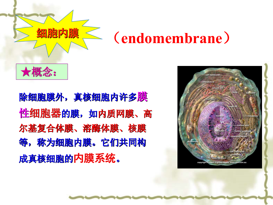 [理学]第五章生物膜_第3页