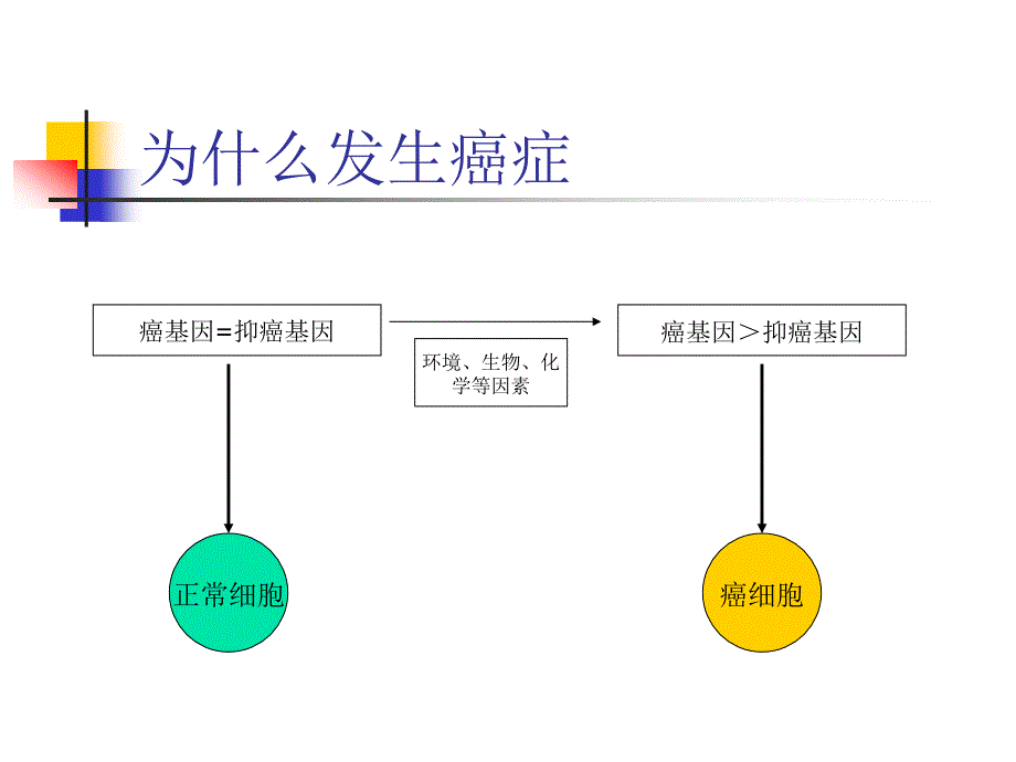 癌症的早期防治_第3页