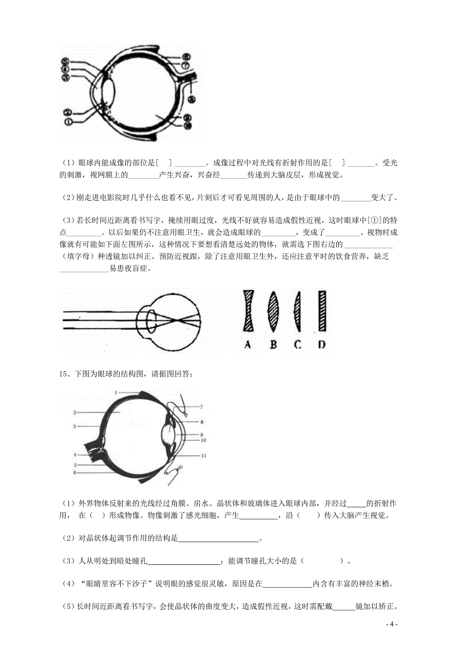 视觉听觉神经激素调节1_第4页