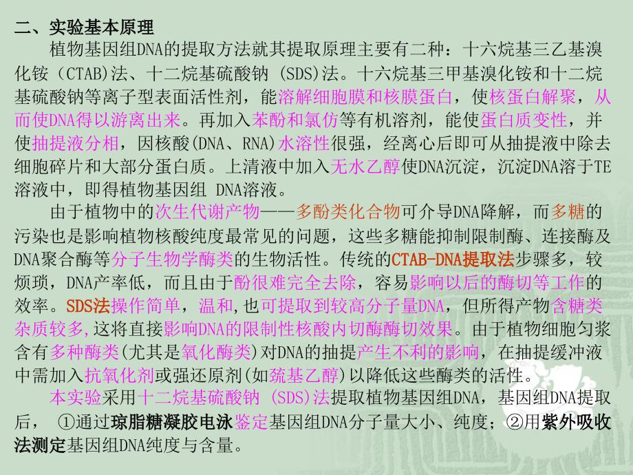 浙江大学生物化学甲实验课件 实验8 植物基因组dna的提取_第4页