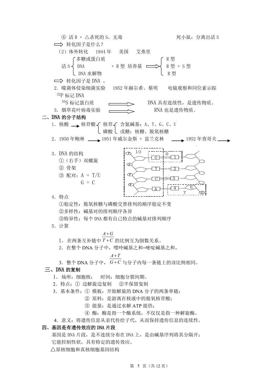 本人总结高中生物总结_第5页