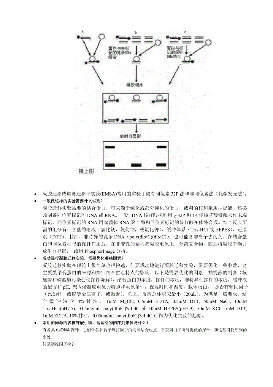 什么是凝胶迁移或电泳迁移率实验(emsa)_第2页