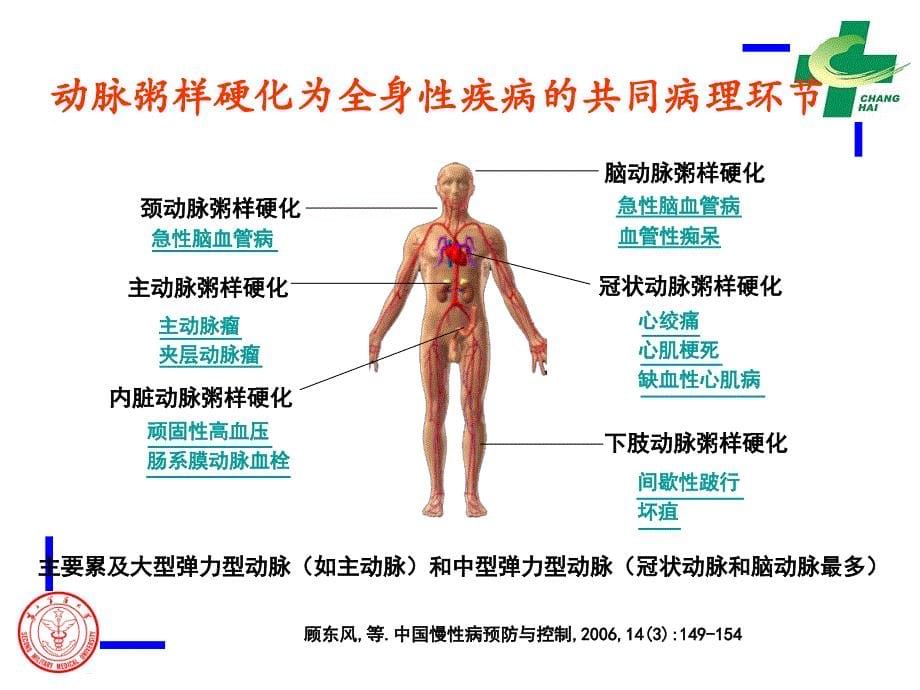 金三角方案--_第5页