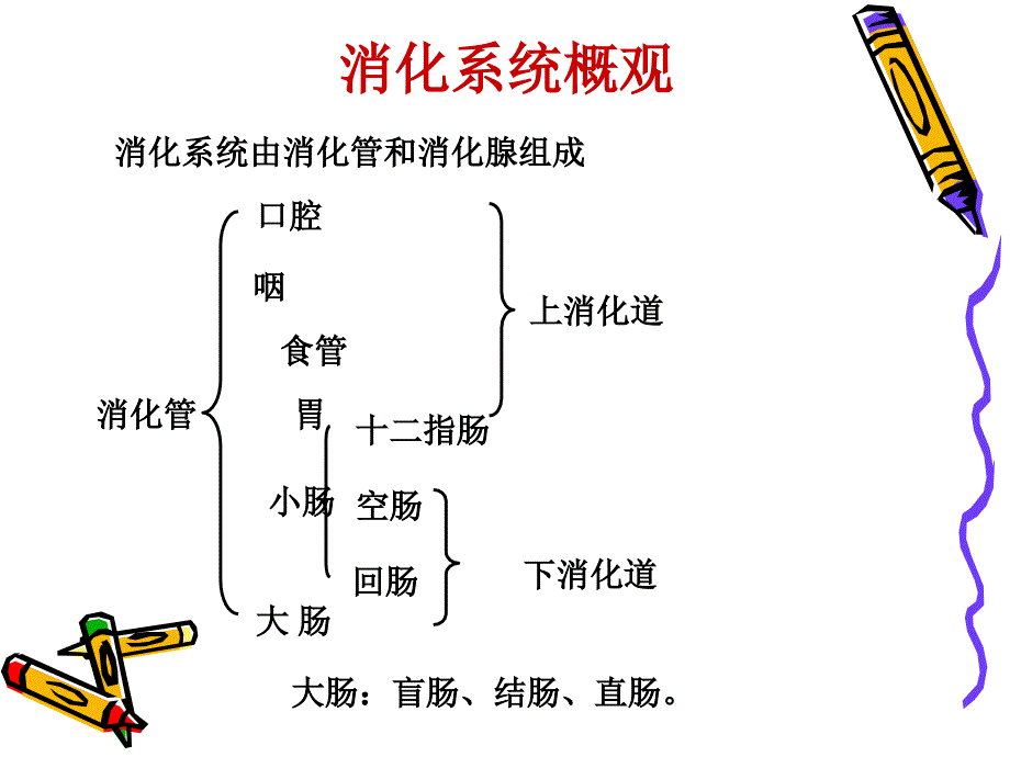 消化系统健康评估_第2页