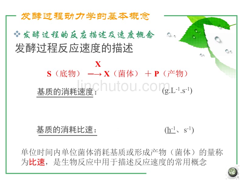 [工学]第五章 发酵过程动力学的基本概念_第3页