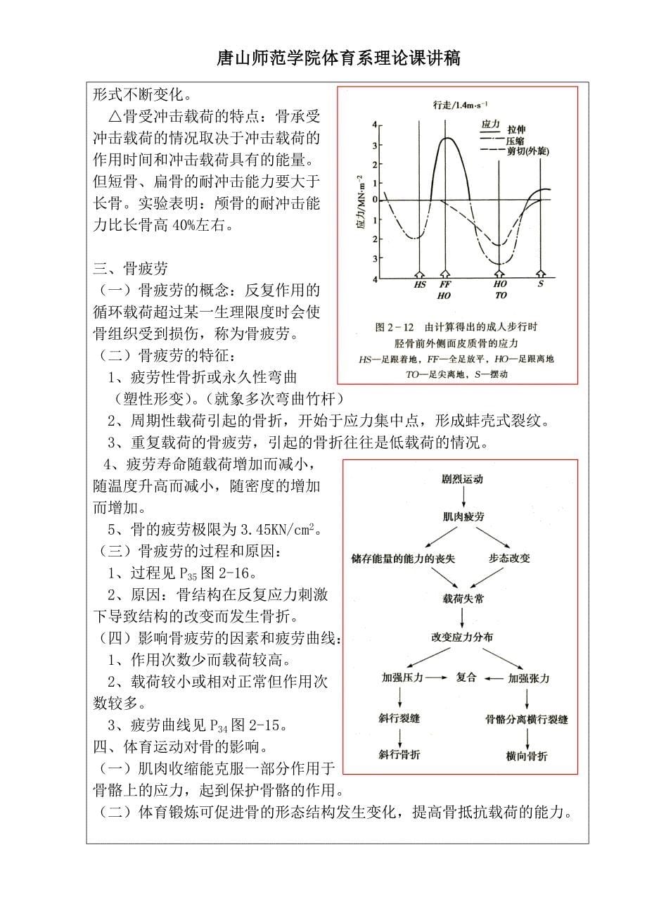 运动生物力学讲稿(第二章)_第5页