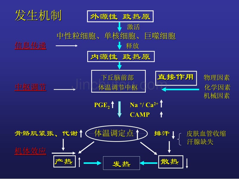 [教育]发热疼痛_第5页