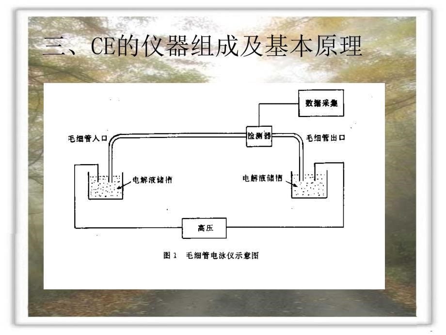 农药合成与分析6_第5页