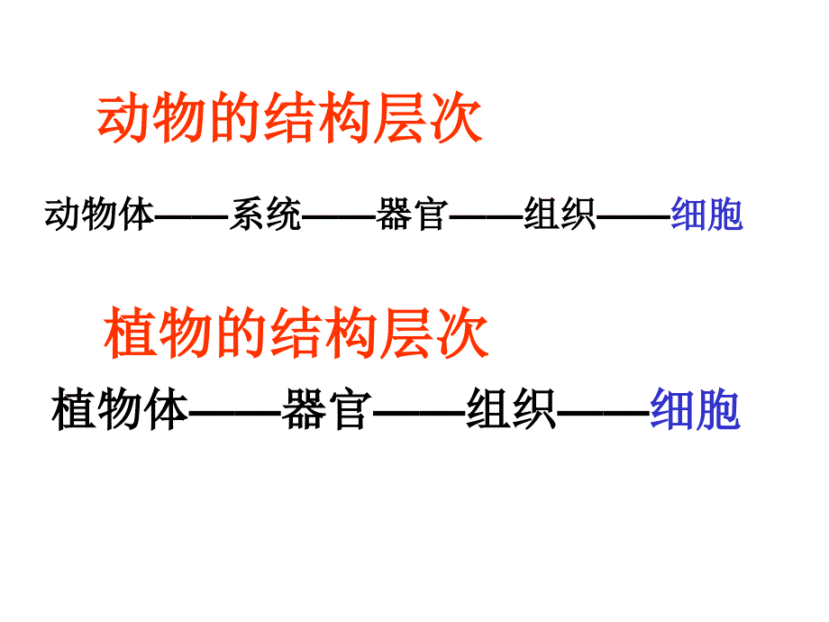 《单细胞生物》参考课件2_第2页