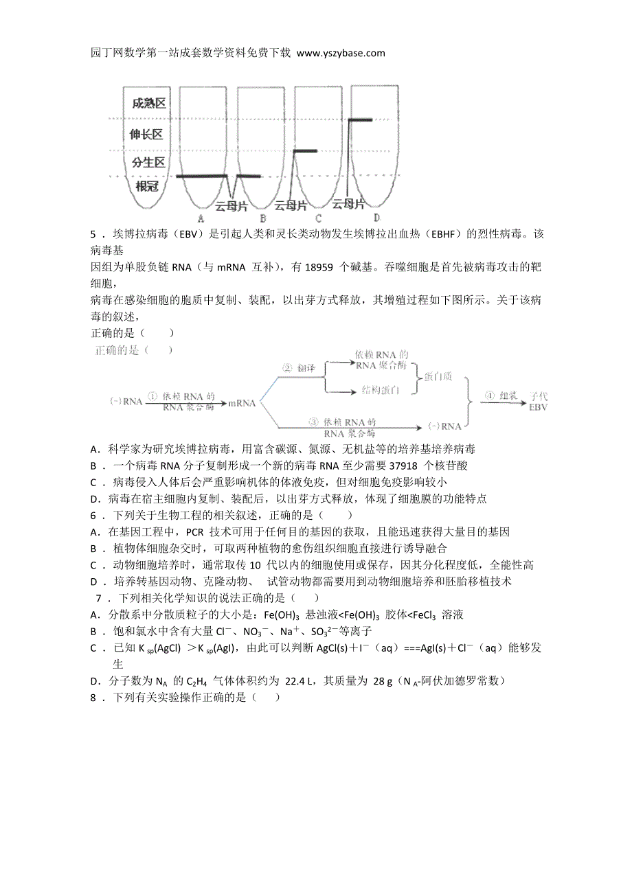 安徽省桐城市2015届高三第一次模拟考试理综试卷_第2页