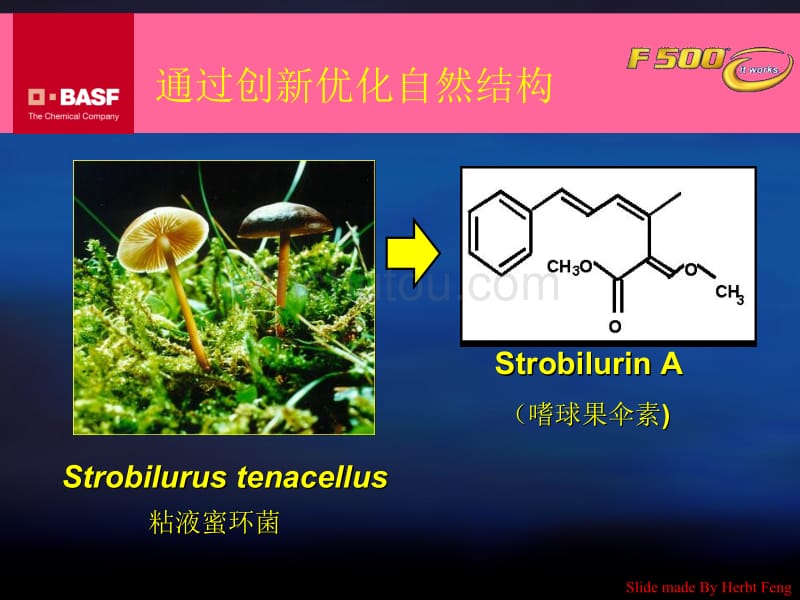 凯润吡唑醚菌酯详细介绍_第4页