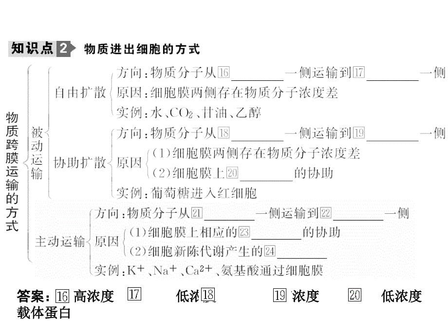 海南省2011届高三生物第一轮复习：生物膜的流动镶嵌模型、物质跨膜运输的方式(新人教版必修1)_第5页