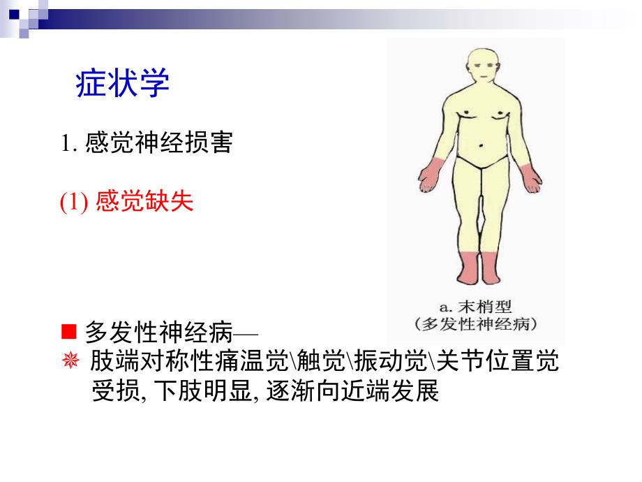 三叉神经ppt_第3页