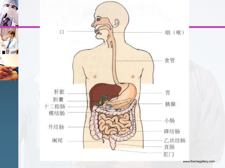 临床医学概要呕血与便血_第3页