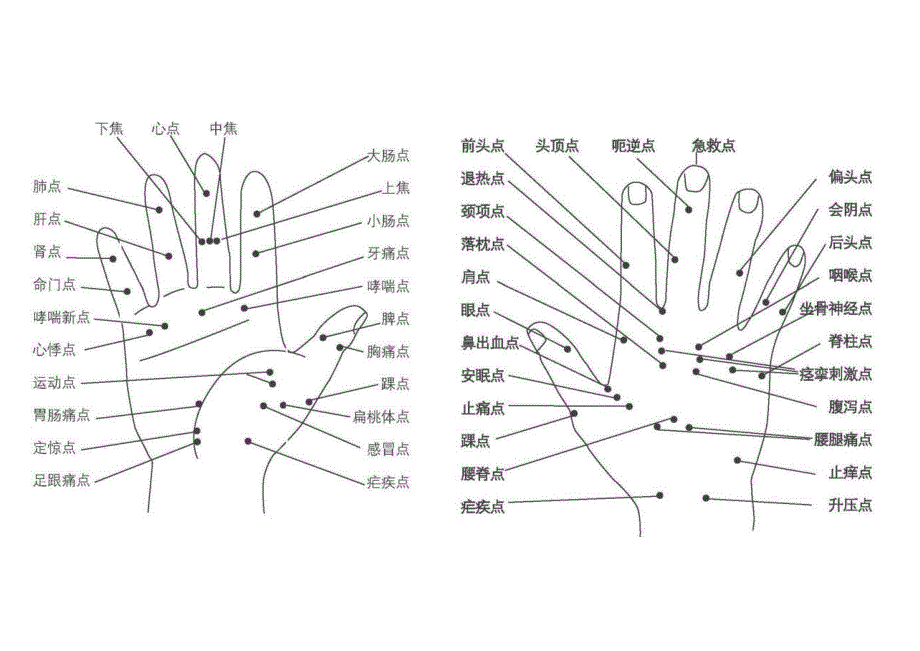 人体全息图汇总_第3页