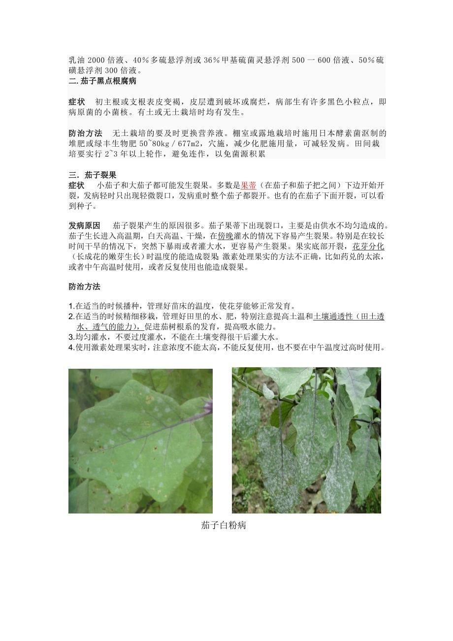 常见蔬菜病虫害防治手册_第5页