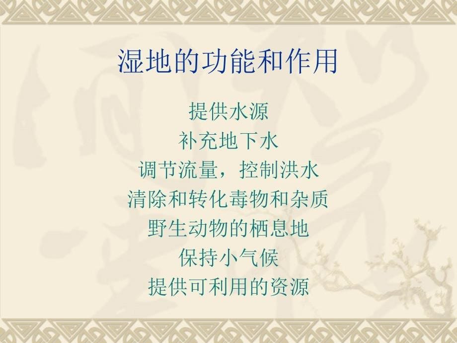 林业科普知识课件_第5页