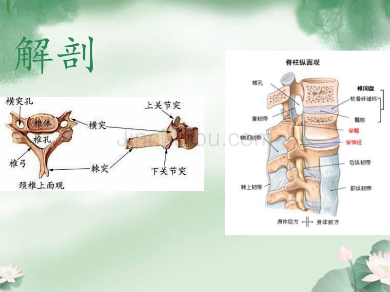 项痹病中医护理查房_第4页