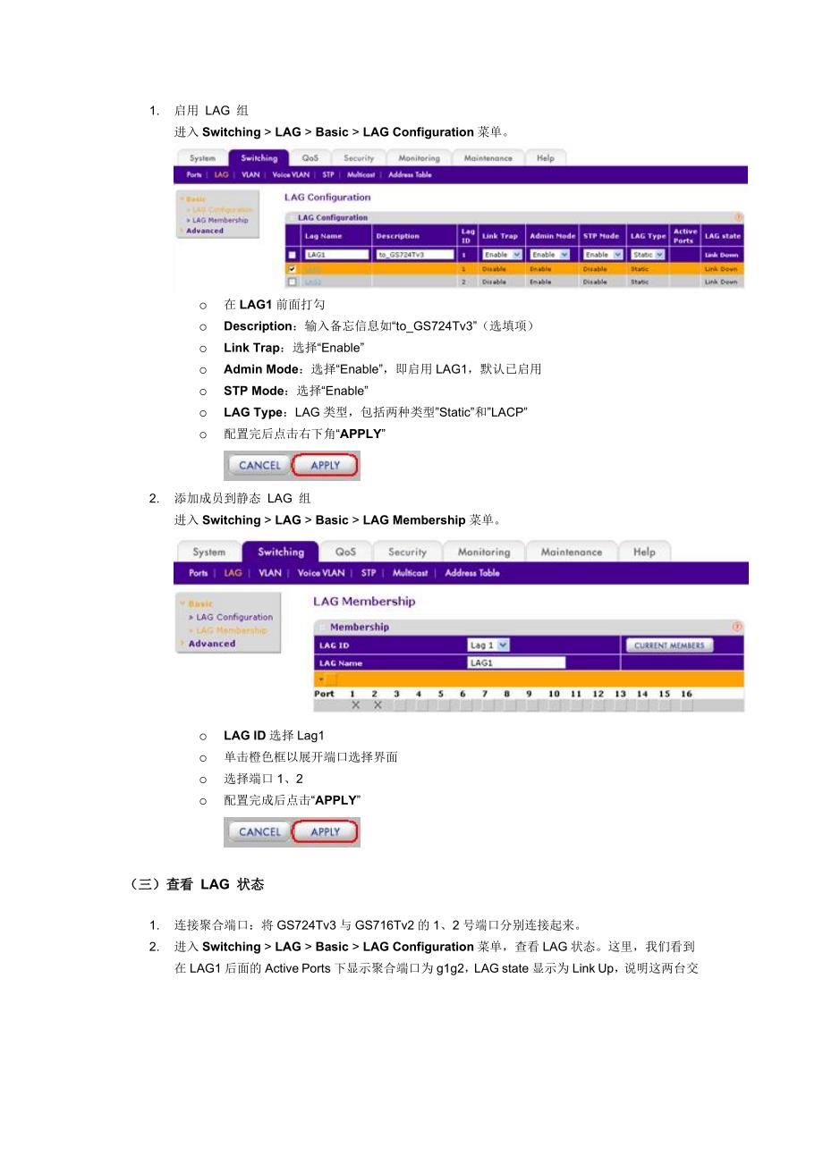 如何实现netgear智能网管交换机的链路聚合功能_第3页