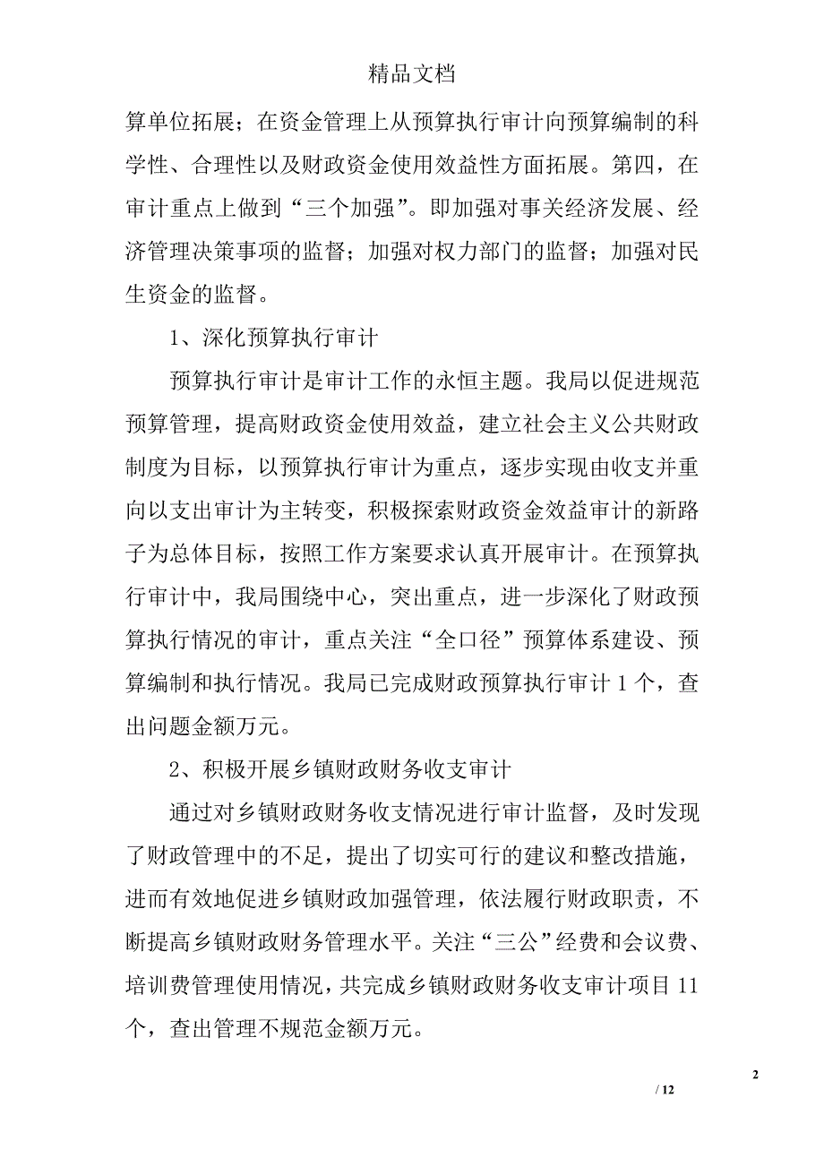 审计局工作总结范文精选_第2页