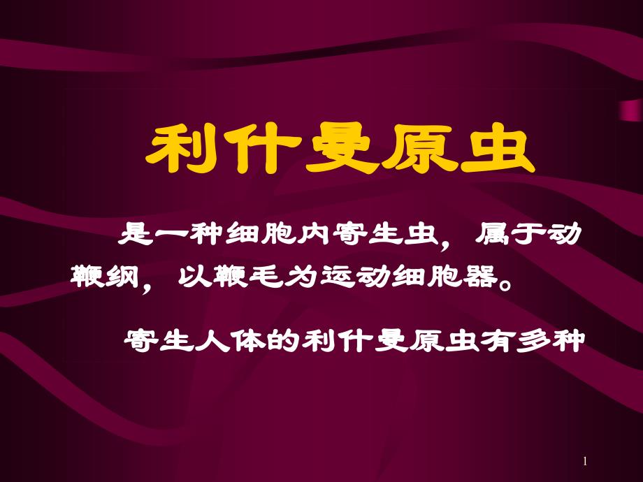 黑热病原虫_第1页