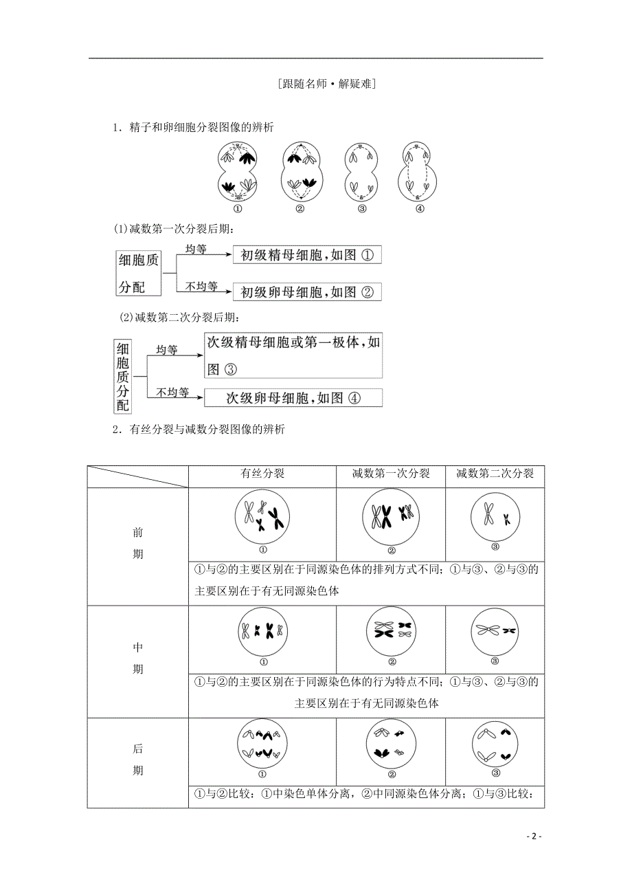 2017-2018年高中生物 第2章 基因和染色体的关系 第1节 减数分裂和受精作用（第2课时）卵细胞的形成过程和受精作用学案 新人教版必修2_第2页