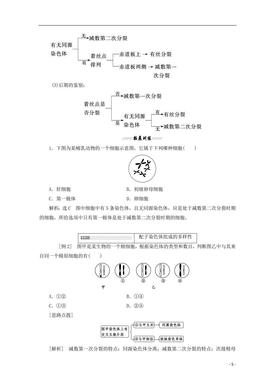 2017-2018年高中生物 第2章 基因和染色体的关系 第1节 减数分裂和受精作用（第2课时）卵细胞的形成过程和受精作用学案 新人教版必修2_第5页