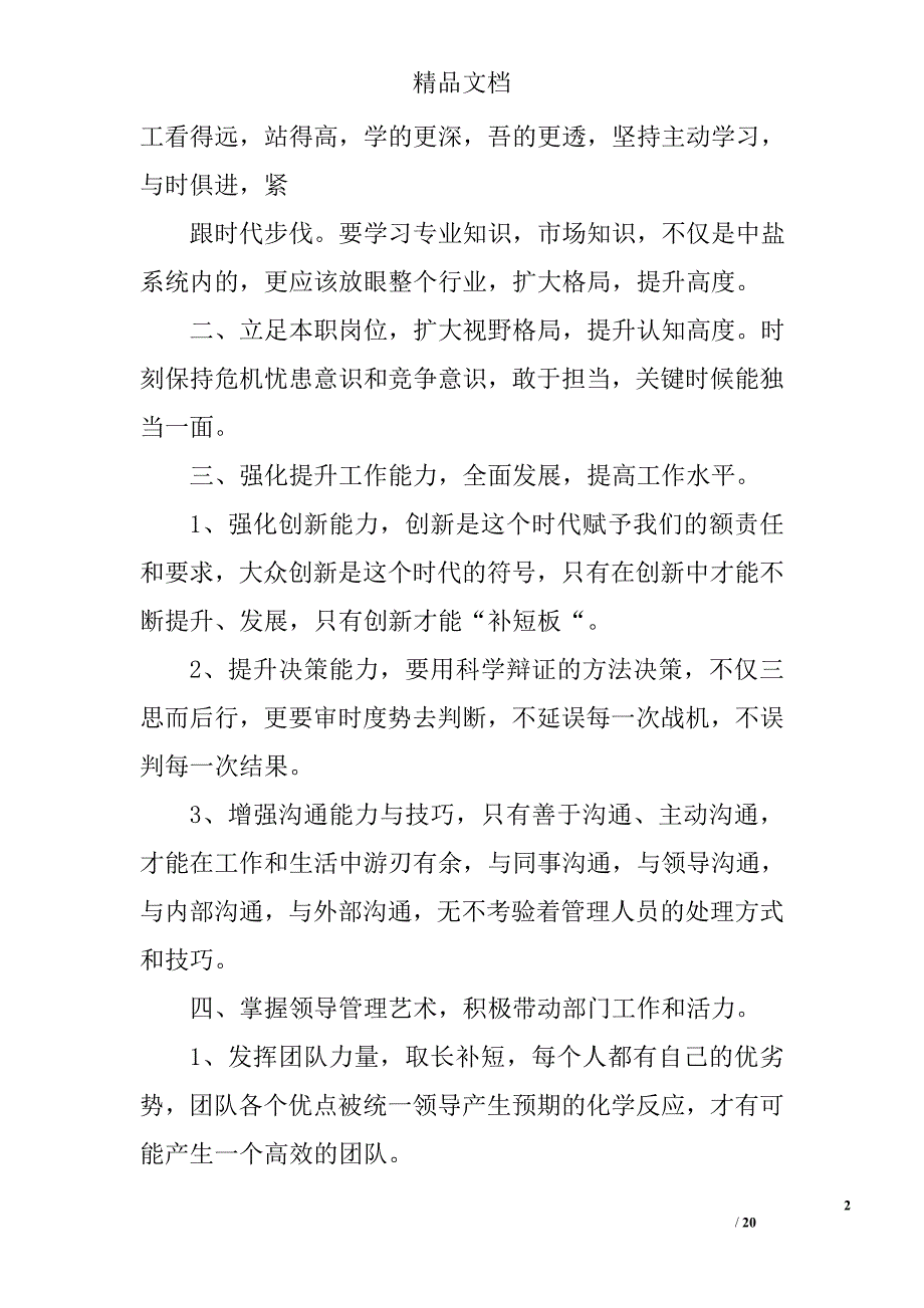 公司工作报告发言精选 _第2页