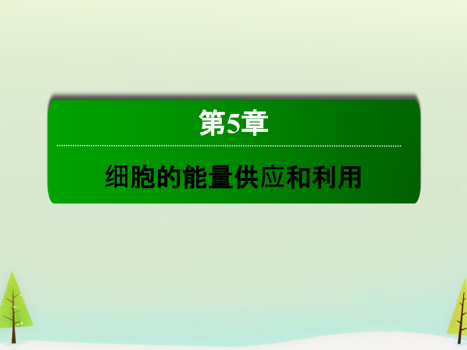 2015-2016学年高中生物_5.4能量之源-光与光合作用课件_新人教版必修_第1页