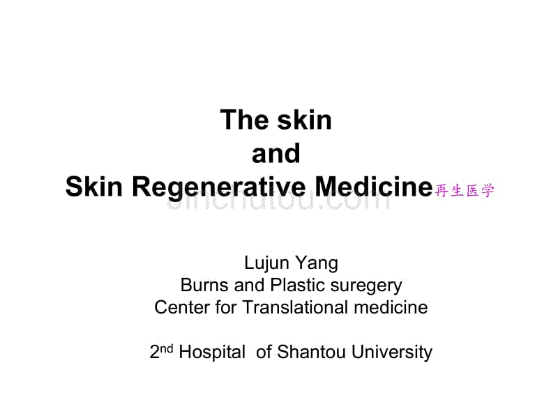医学英语-皮肤系统skin#