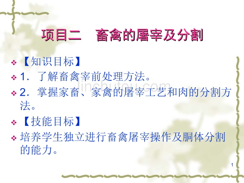 项目二畜禽的屠宰及分割_第1页