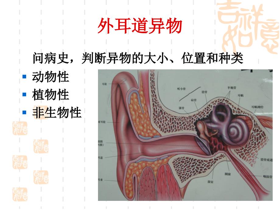 耳科常见急症处理_第3页