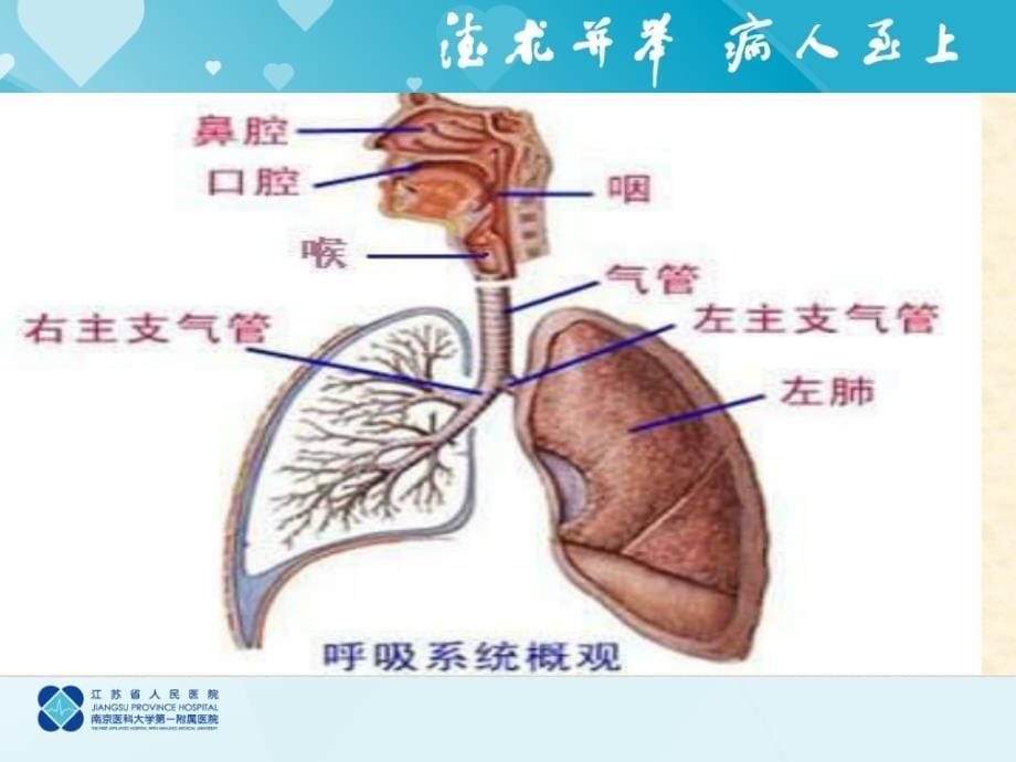 急性支气管炎临床教学_第5页