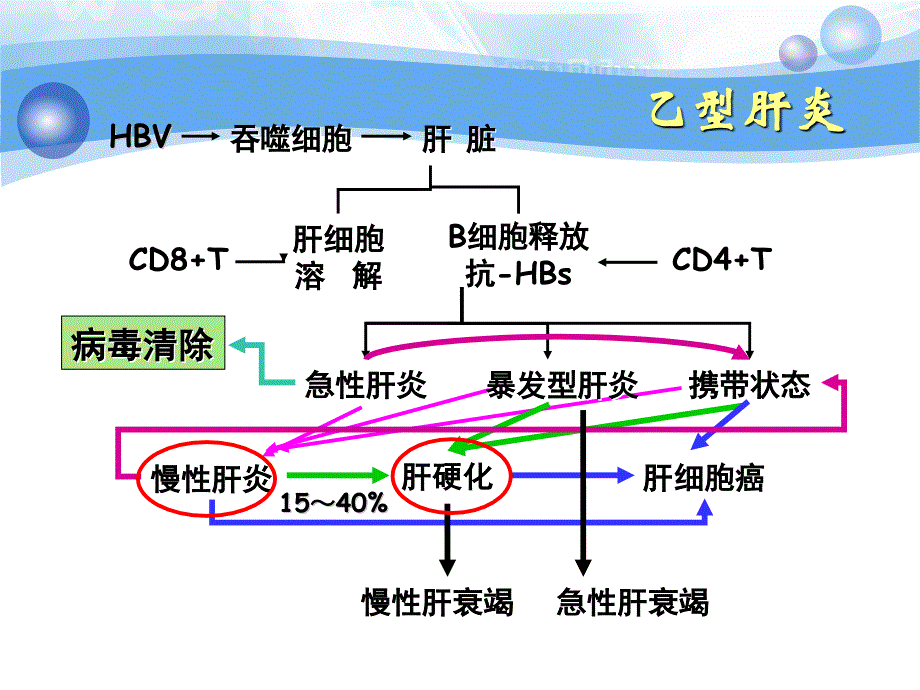 病毒性肝炎的详细课件ppt_第4页