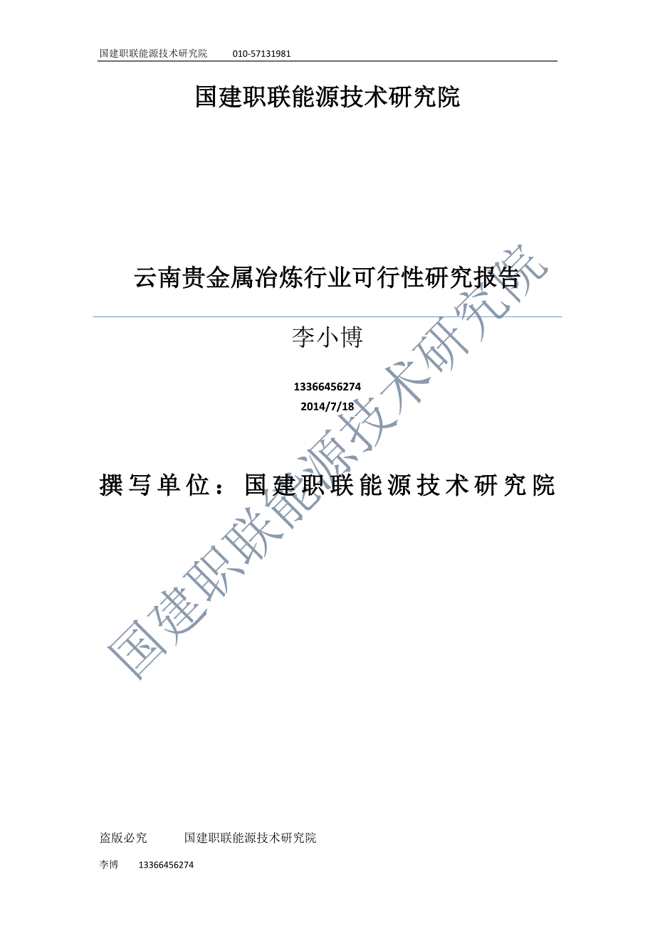 云南贵金属冶炼行业可行性研究报告_第1页