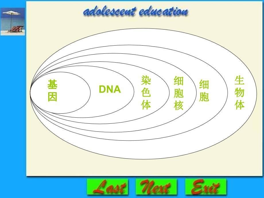 基因在亲子代间的传递为您服务教育网_第5页