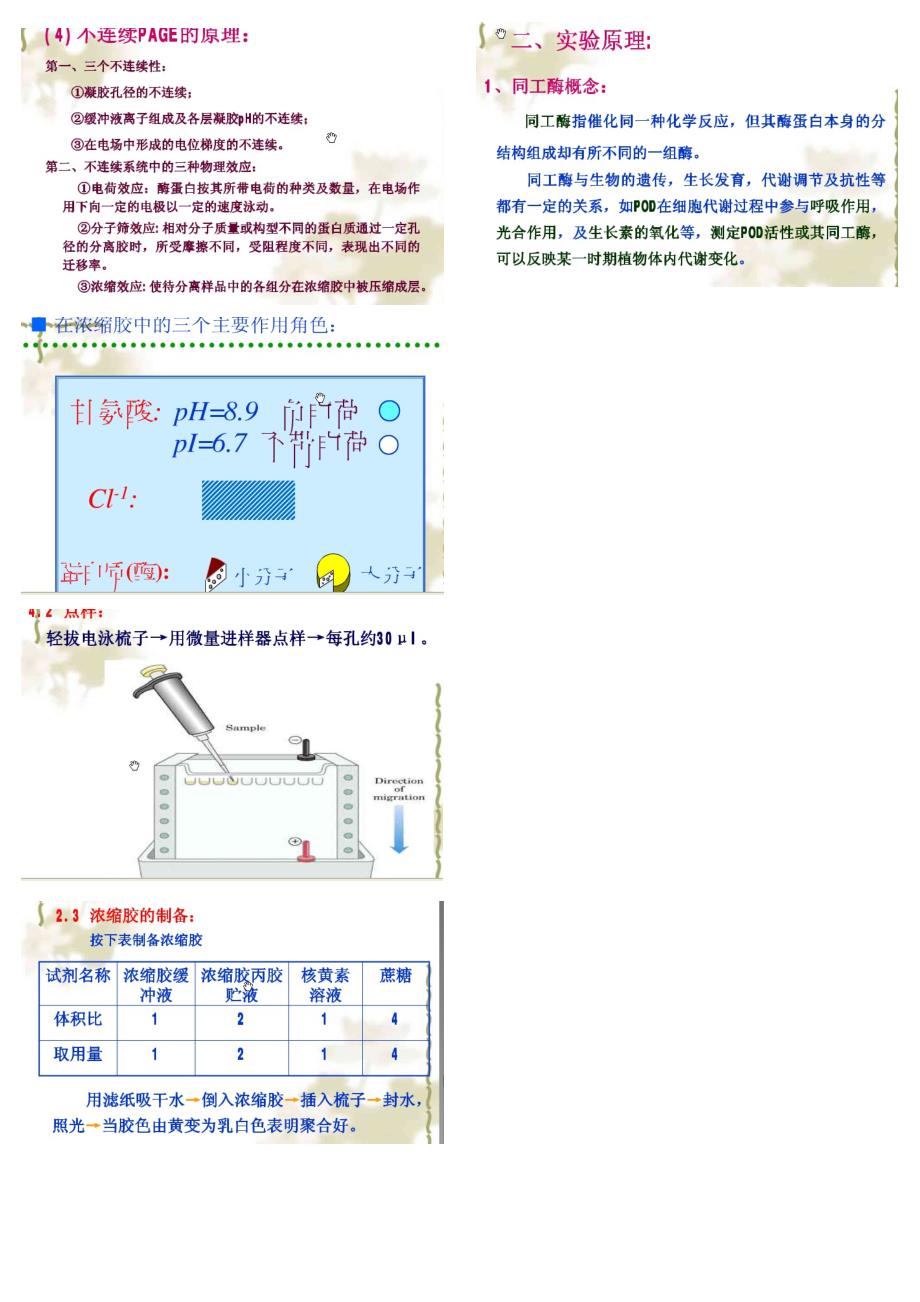 过氧化物酶同工酶的提取和分离_第4页