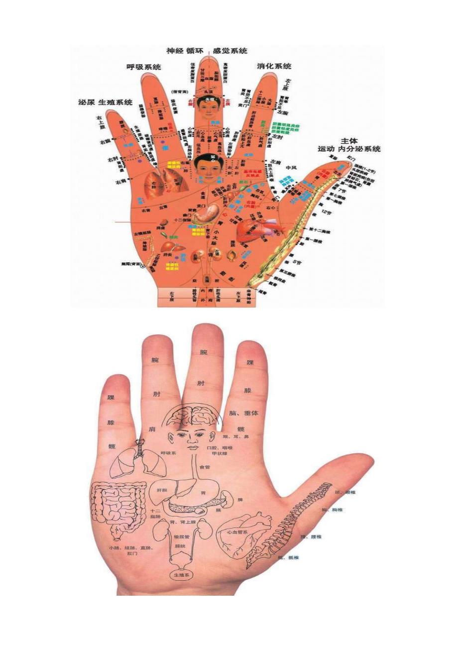 非常有用的人体全息图_第3页