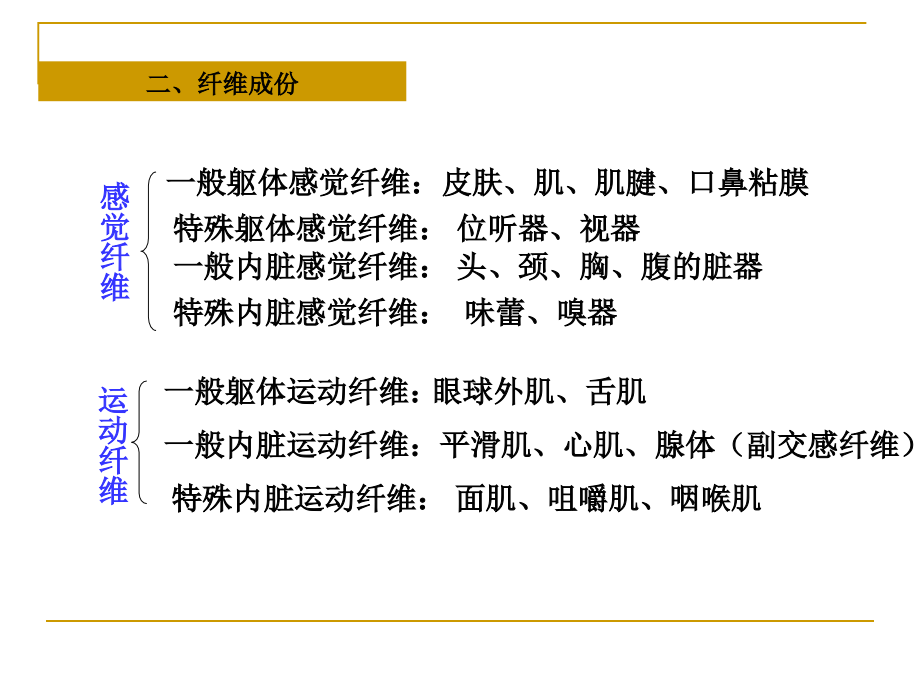 神经病学第二次课_第3页