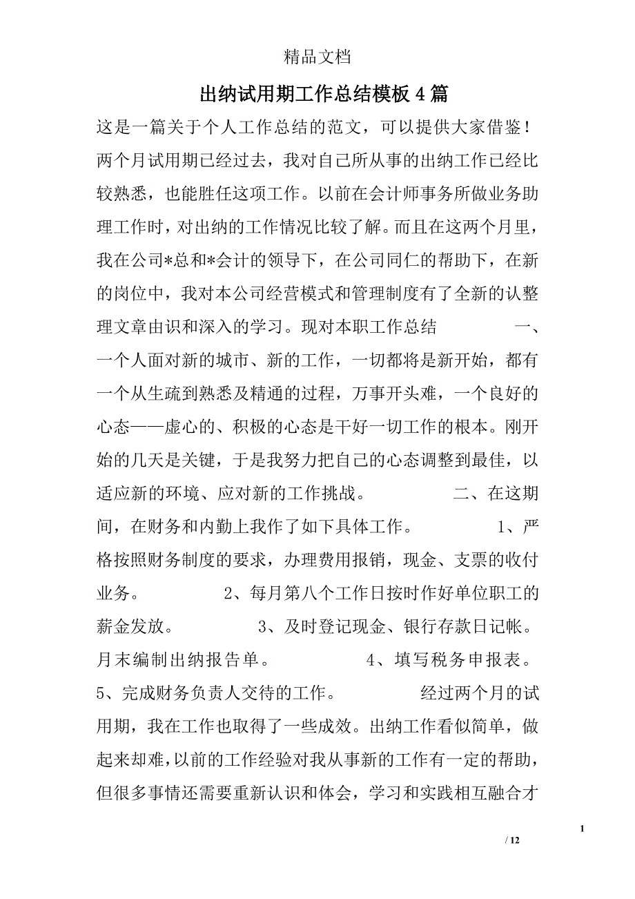 出纳试用期工作总结模板精选_第1页