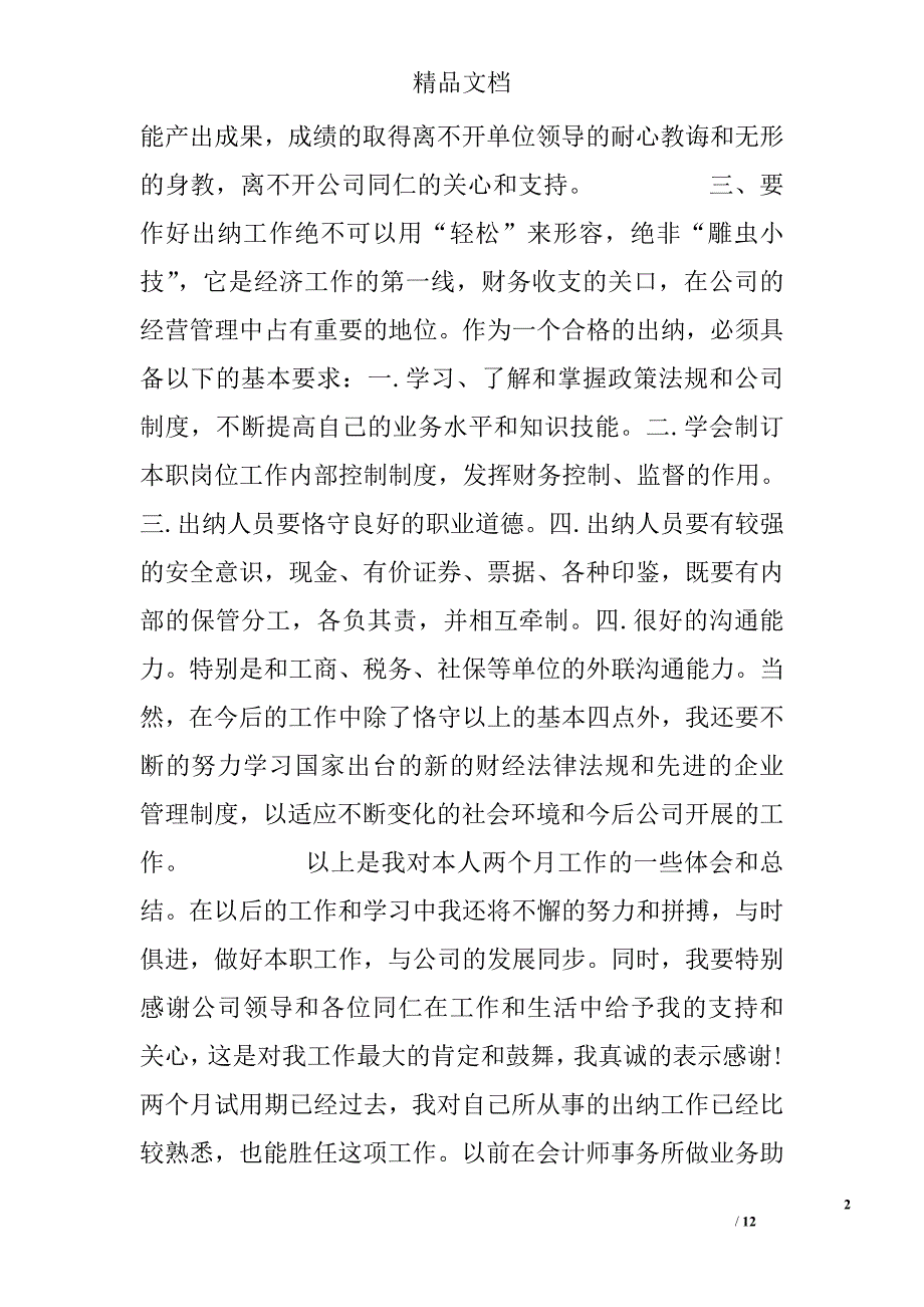 出纳试用期工作总结模板精选_第2页